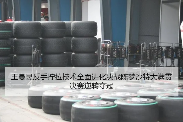wang-man-yu-fan-shou-ning-la-ji-shu-quan-mian-jin-hua-jue-zhan-chen-meng-sha-te-da-man-guan-jue-sai-ni-zhuan-duo-guan-3-538.jpg