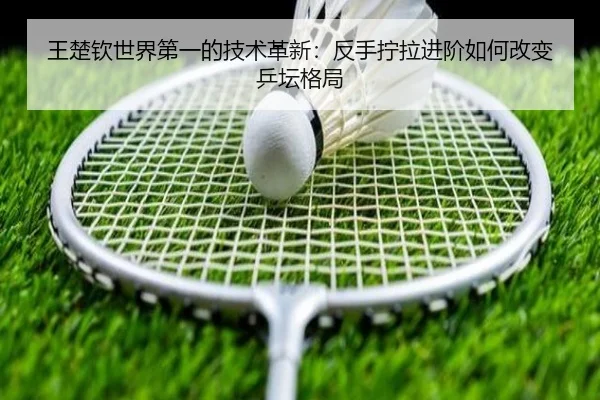 wang-chu-qin-shi-jie-di-yi-de-ji-shu-ge-xin-fan-shou-ning-la-jin-jie-ru-he-gai-bian-ping-tan-ge-ju-2-954.jpg