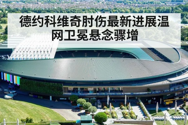 德约科维奇肘伤最新进展温网卫冕悬念骤增