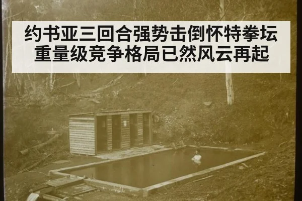 约书亚三回合强势击倒怀特拳坛重量级竞争格局已然风云再起