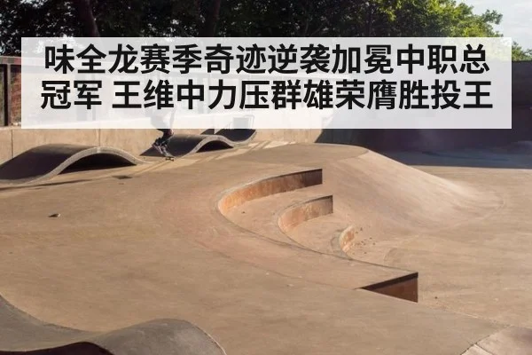 味全龙赛季奇迹逆袭加冕中职总冠军 王维中力压群雄荣膺胜投王