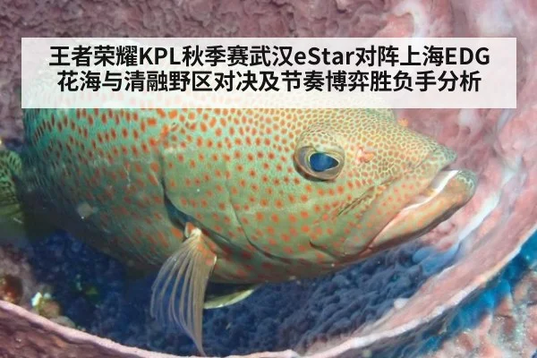 王者荣耀KPL秋季赛武汉eStar对阵上海EDG花海与清融野区对决及节奏博弈胜负手分析